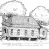 Americans of African Descent: From the Cotton Fields to Corporate Offices