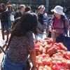 Students going hungry at colleges in California