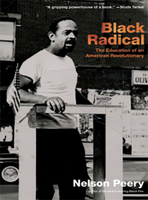Black Radical Black Radical book cover