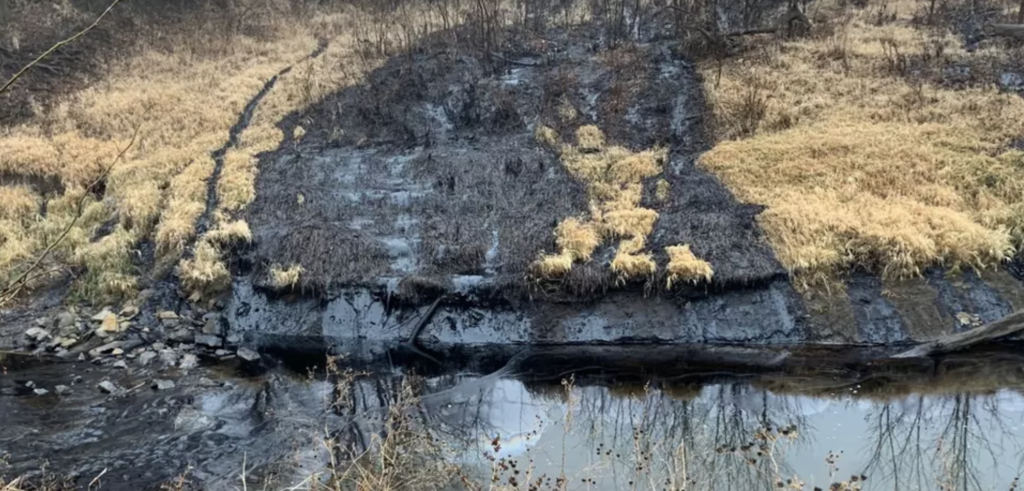 Tragedy Unfolding: Cleanup of Largest-Ever Keystone Pipeline Oil Spill ...