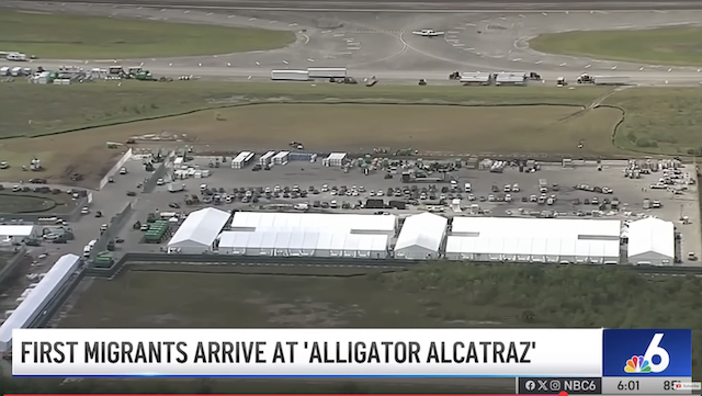 Aligator Alcatraz