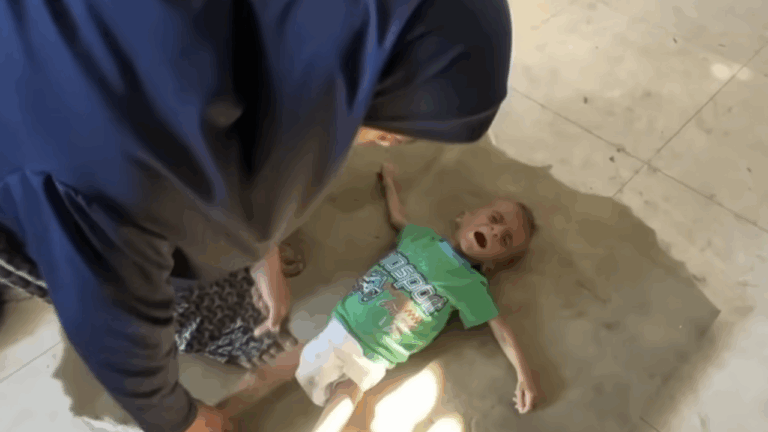 Global Food Authority Declares Catastrophic Famine in Gaza