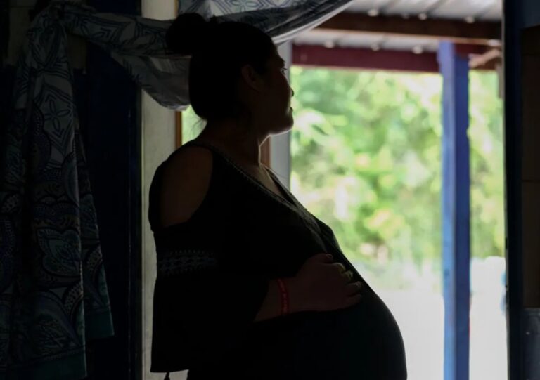 pregnant immigrants