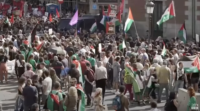 Protest for Gaza, Spain