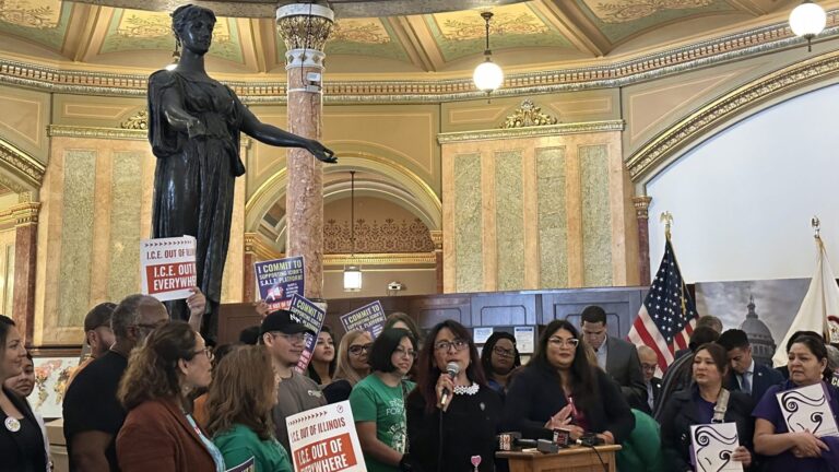 photo showing Illinois state representative speaking on behalf of resistance for immigrant rights
