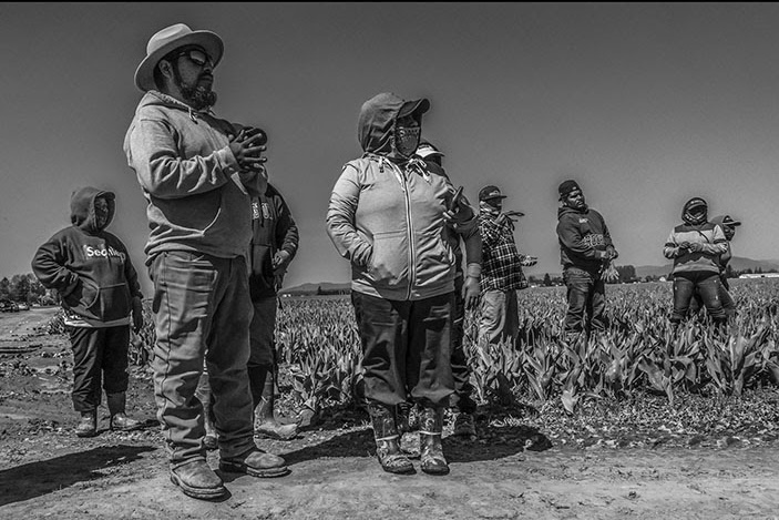 farmworkers