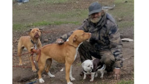 Requiem for a Homeless Death