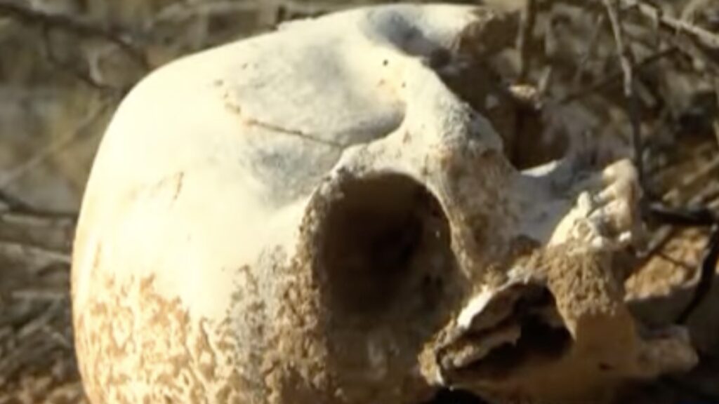 photo of skull for zorro ranch story